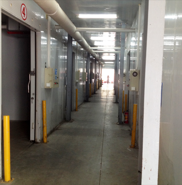 1561948625901801.jpg freshroom.JPG